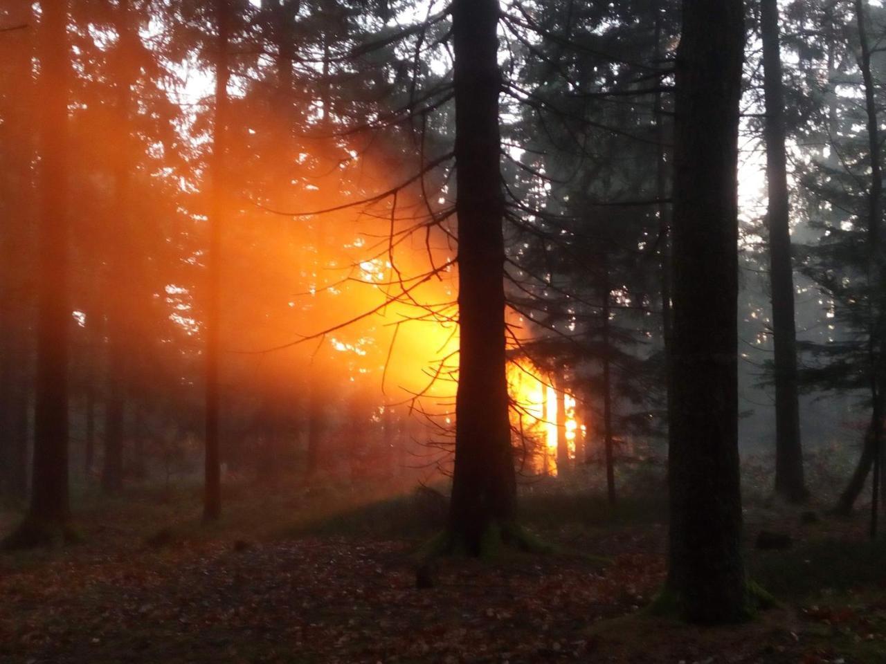 Gasthof-Hotel Dilger Rattenberg Eksteriør billede